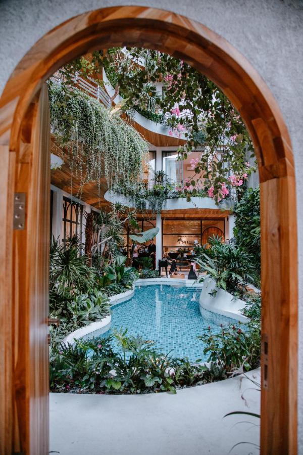 Khách sạn hẻo lánh Cityhouse - Cityoasis 2*